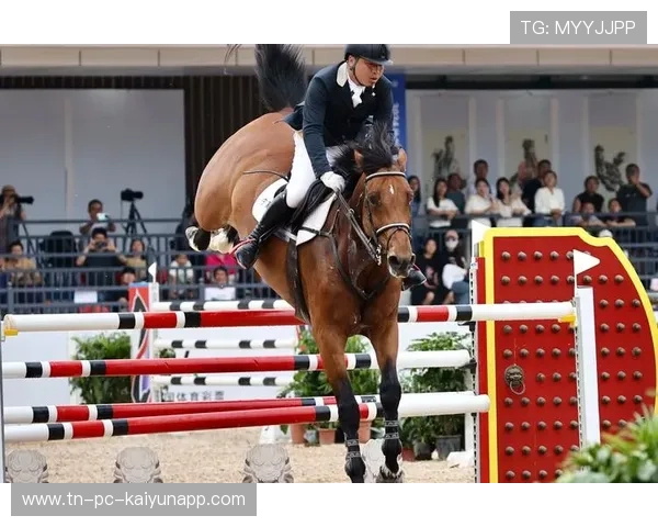 比利时马术队在2024年国际马术联合会障碍赛世界巡回赛中获得团体第五名，展现强大实力。