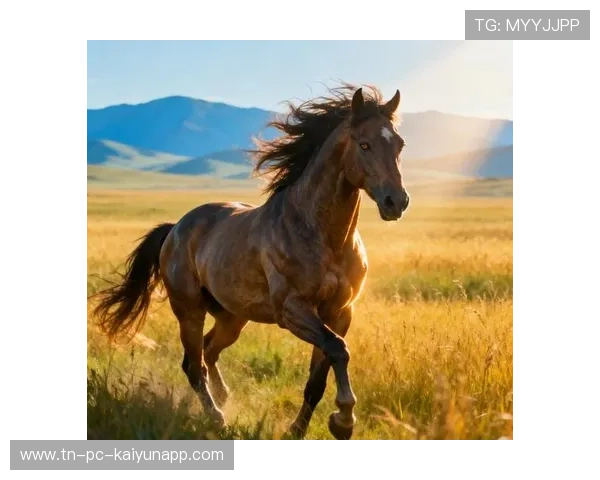 美国马术协会举办“Mustang Challenge”文化交流活动，促进传统文化传承。，美国青少年马术
